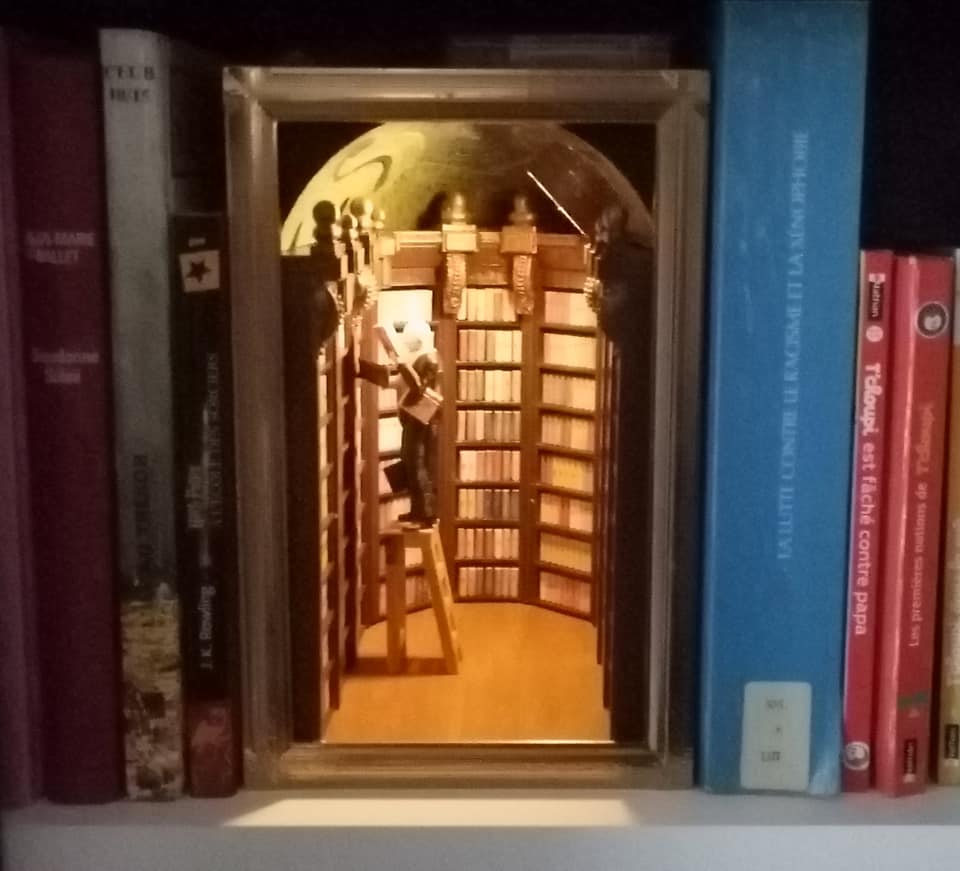 Book nook shelf insert Le rat de bibliothèque
