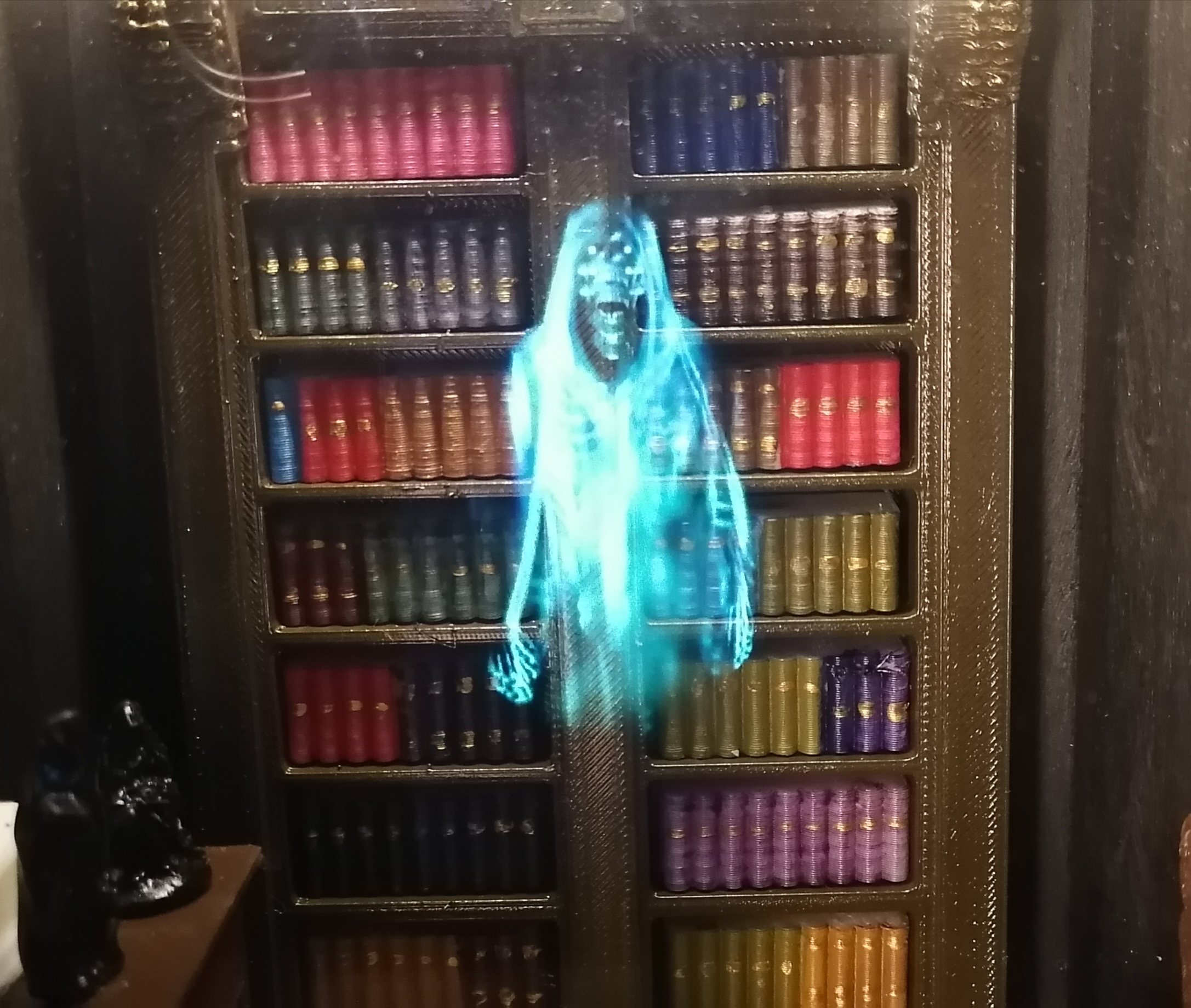 Book nook shelf insert La bibliothèque hantée hologramme