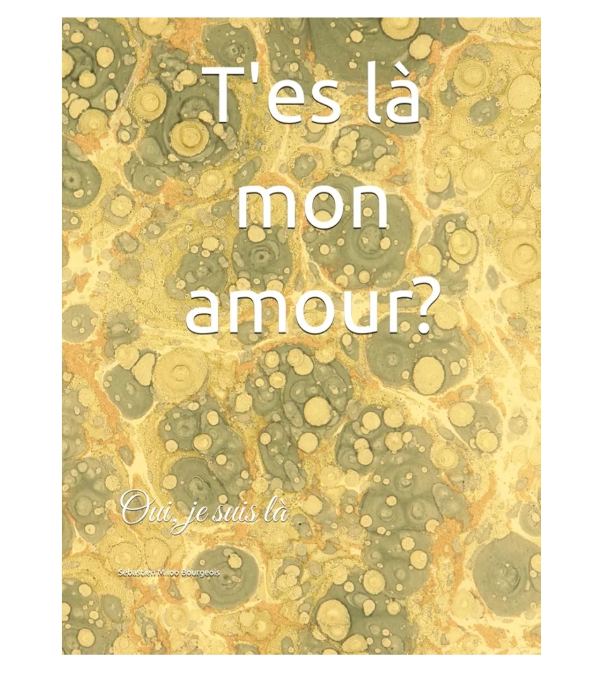 Livres héritage, transmettez vos réponses à 500 questions – Image 4