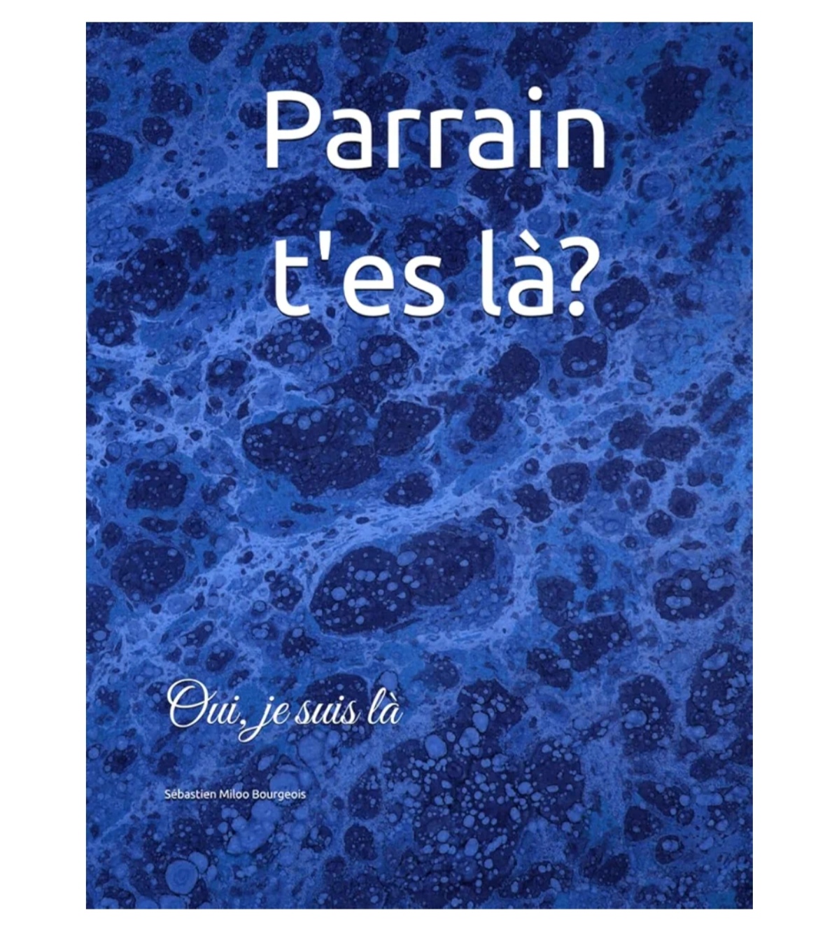 Livres héritage, transmettez vos réponses à 500 questions – Image 2